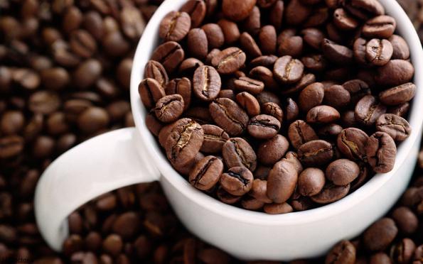 سفارش درجه یک ترین قهوه گلد ایرانی با قیمت ارزان