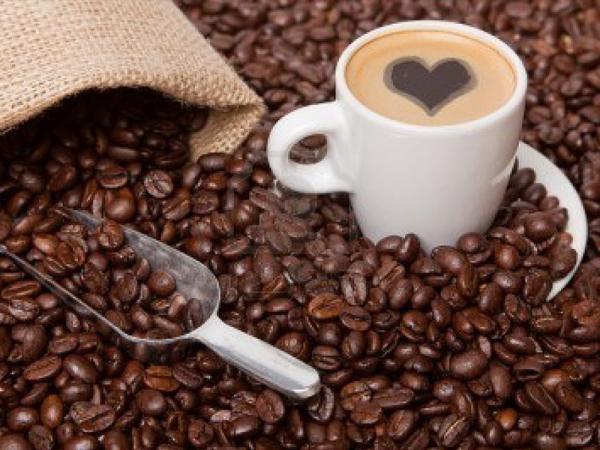 بهترین صادرکننده قهوه گلد هند در سال 2019